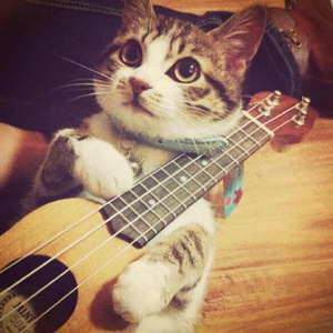 女初高中打屁股❤️网站
